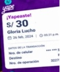Evidencia del reporte: DEBE 630 SOLES
