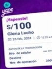 Evidencia del reporte: DEBE 630 SOLES